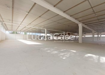 Shed Porcari - photo 18