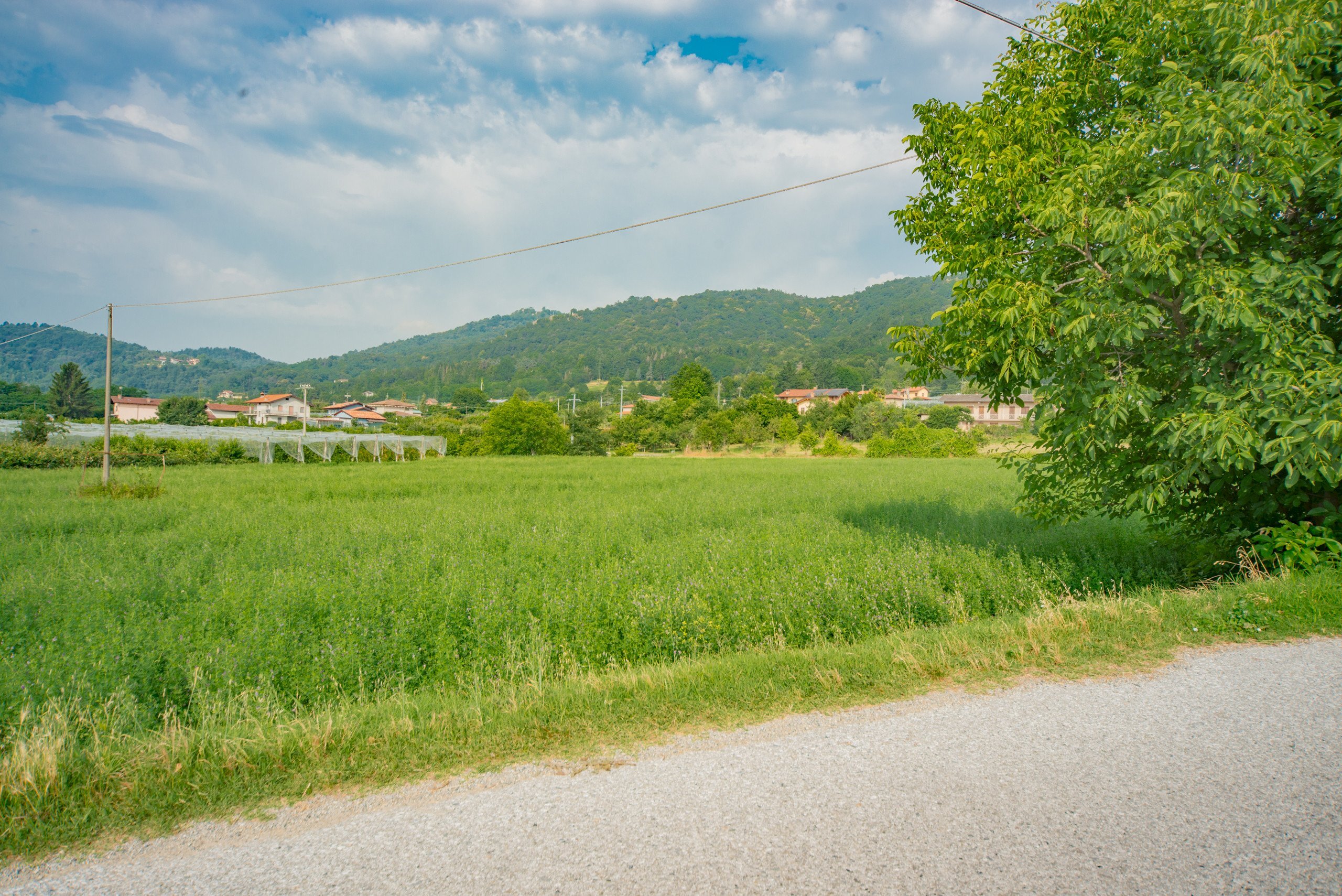 Agricultural land Via Pes di Villamarina, Busca - photo 1
