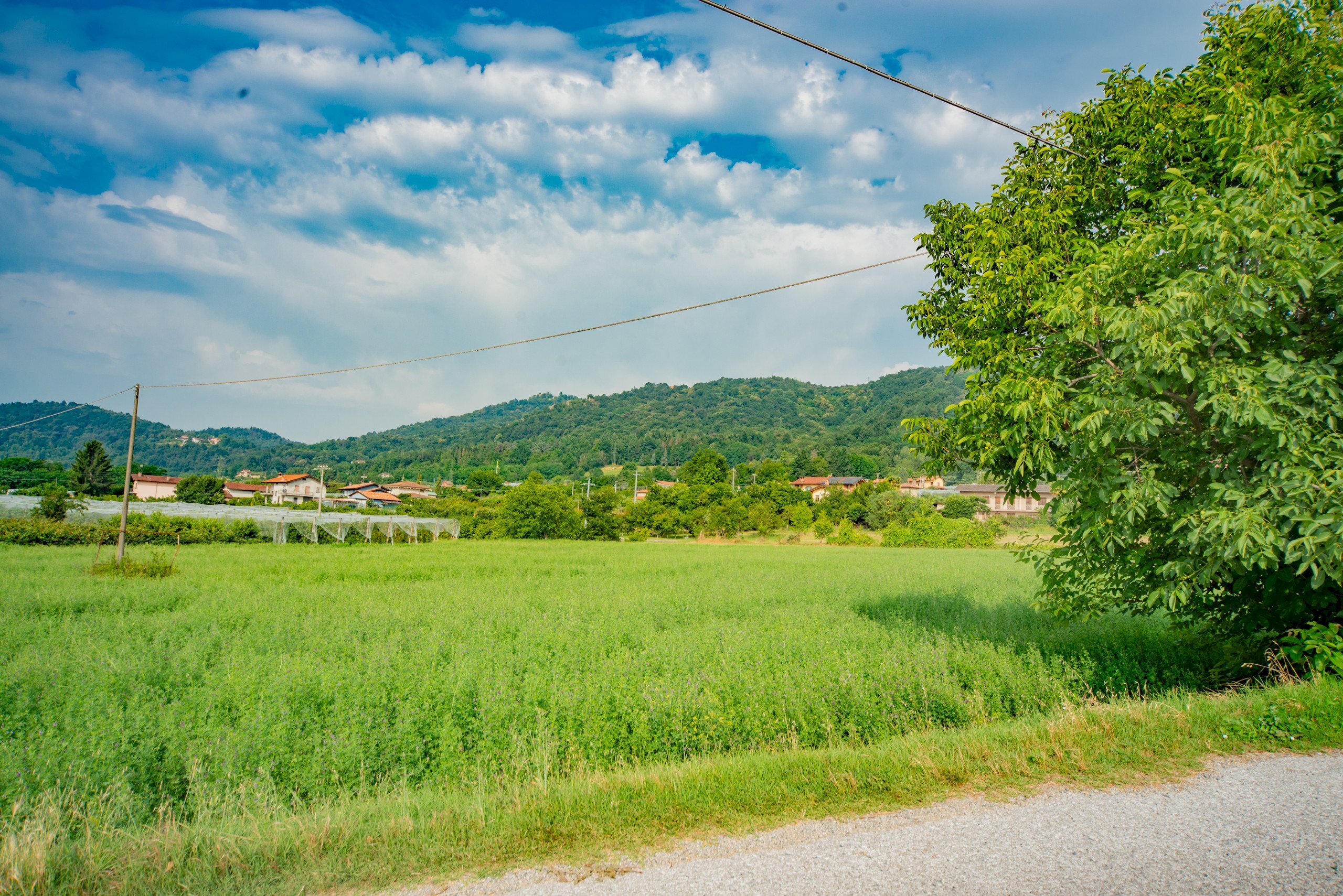 Agricultural land Via Pes di Villamarina, Busca - photo 2