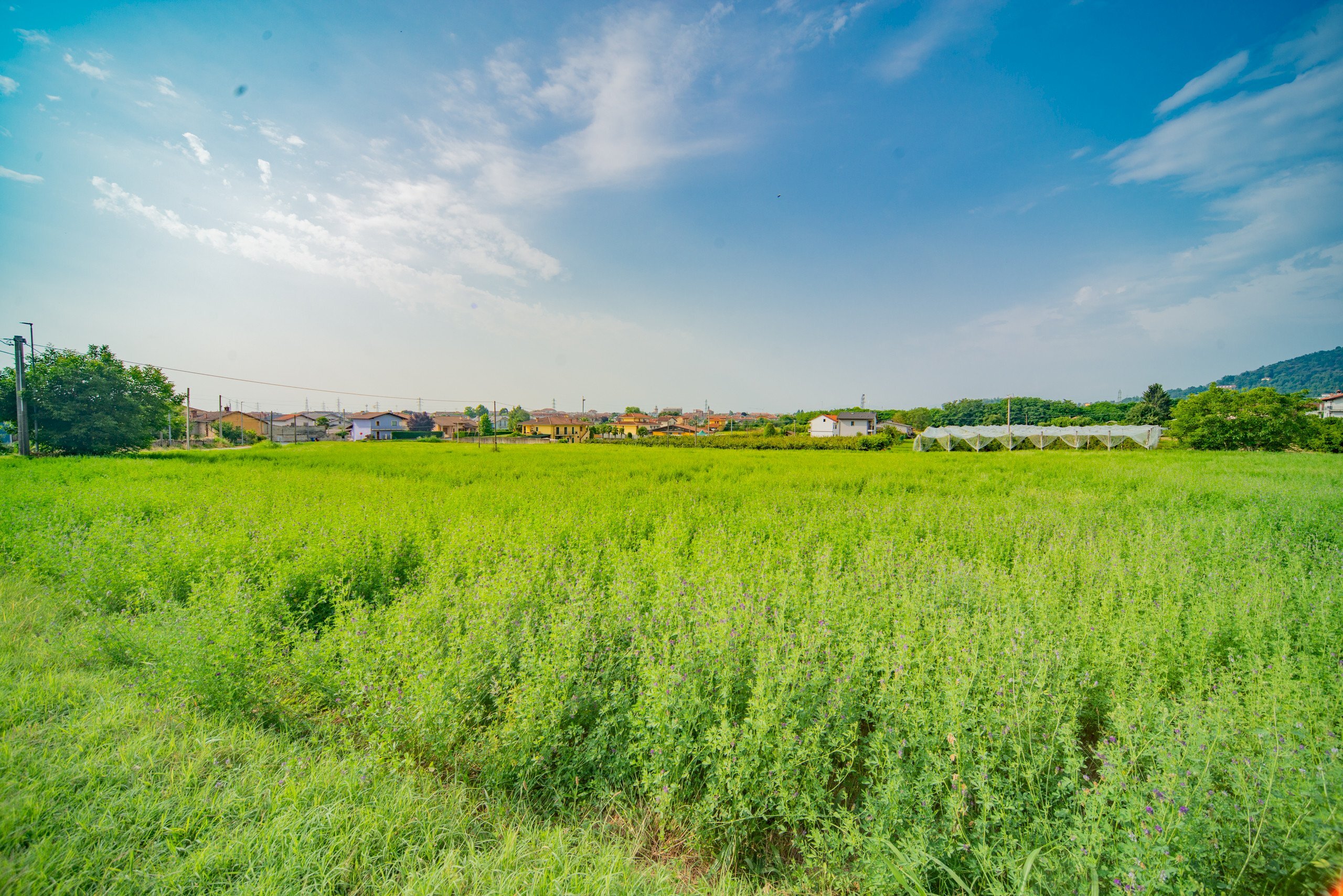 Agricultural land Via Pes di Villamarina, Busca - photo 3