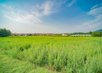 Terreno agricolo Via Pes di Villamarina, Busca - foto 3