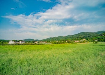 Terreno agricolo Via Pes di Villamarina, Busca - foto 5