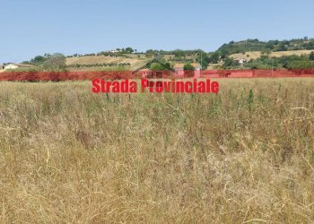 Foto 3 - Building land SP39 Fermana Faleriense, Montegiorgio - photo 3