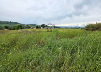 Foto 7 - Building land SP39 Fermana Faleriense, Montegiorgio - photo 7