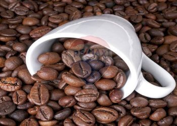 Dettagli - Bar Tavola Calda - Fredda Santeramo in Colle - foto 8