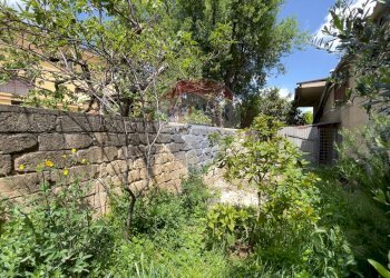 Giardino - Magazzino Santeramo in Colle - foto 4