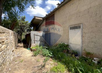 Giardino - Magazzino Santeramo in Colle - foto 5