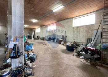 Palestra - Magazzino Santeramo in Colle - foto 7