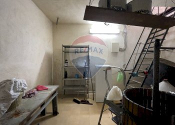 Cucina - Magazzino Santeramo in Colle - foto 10