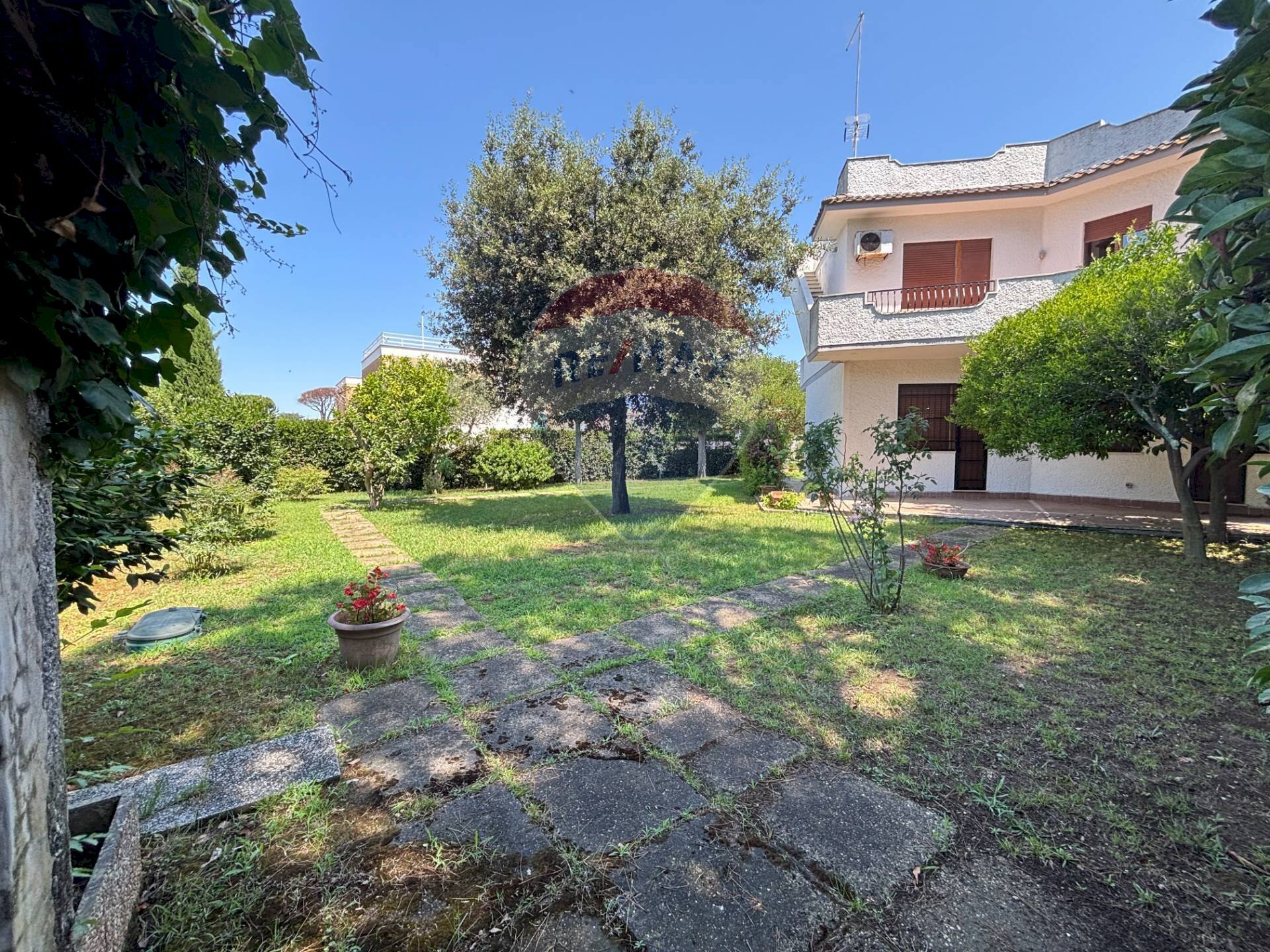 Giardino - Casa semi indipendente Via delle viole
 
9, Ardea - foto 2