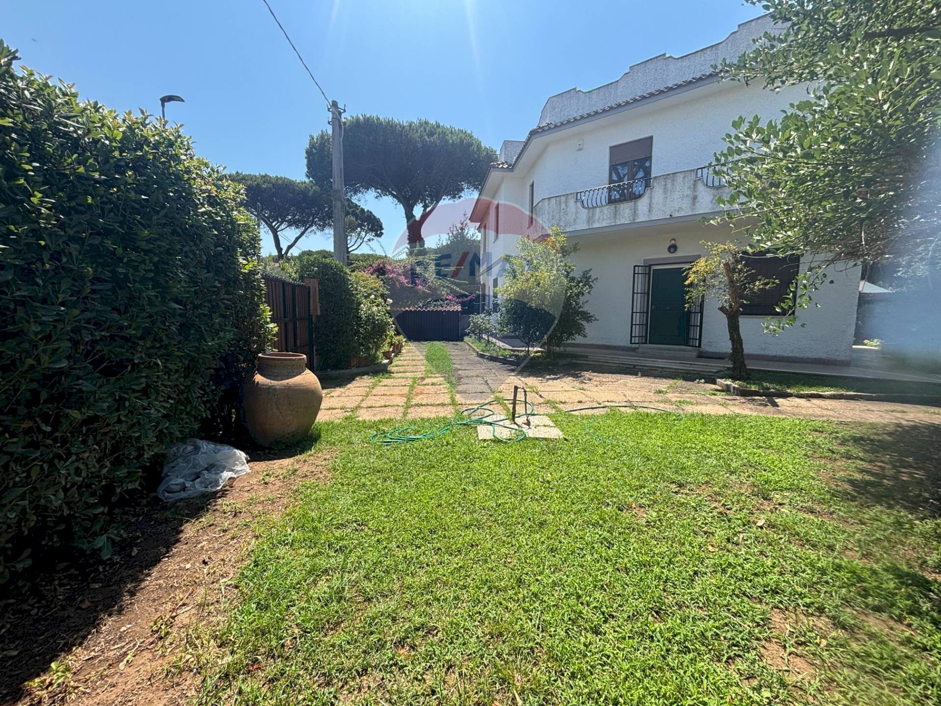 Giardino - Casa semi indipendente Via delle viole
 
9, Ardea - foto 3