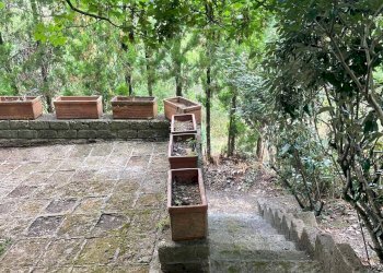 Foto 28 - Casa indipendente Piazza Barbana
 
snc, Scansano - foto 28