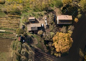 Rustico Chianciano Terme - foto 7