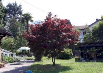 Giardino - Villa via Fugino, 7, Porto Valtravaglia - foto 19