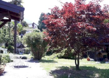 Giardino - Villa via Fugino, 7, Porto Valtravaglia - foto 20
