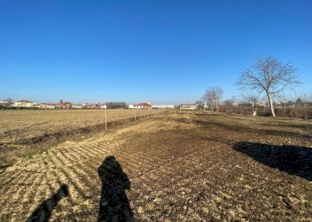 Terreno - Terreno agricolo via della Piramide, Carmagnola - foto 2