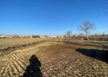 Terreno - Terreno agricolo via della Piramide, Carmagnola - foto 3