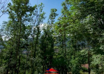 Terreno - Rustico via Picco Chiotti, 20, Dronero - foto 21