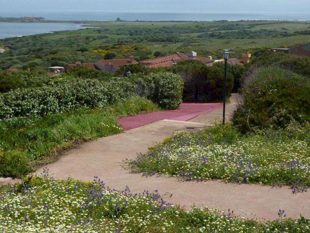 Villa Stintino - photo 2