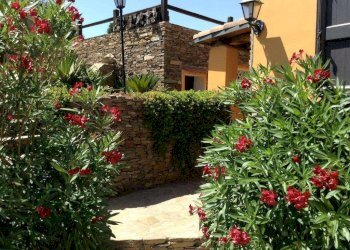 Villa Stintino - foto 23