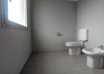 Ufficio Bologna - foto 12