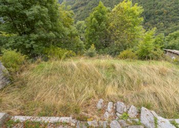 Baita Frazione Borgo, 180, Crissolo - foto 42