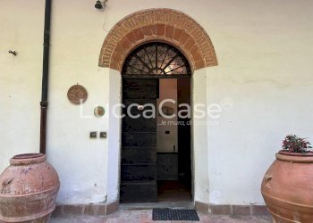 Casale Pisa (neighborhood San Rossore) - photo 13