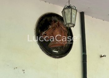 Casale Pisa (neighborhood San Rossore) - photo 14