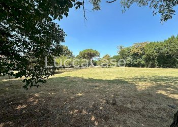 Casale Pisa (neighborhood San Rossore) - photo 6