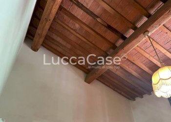 Casale Pisa (neighborhood San Rossore) - photo 44