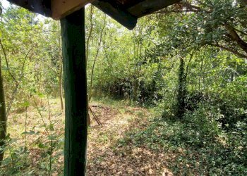 Foto 18 - Semi-detached house Altare - photo 18