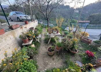 Foto 4 - Casa indipendente Valle Fiorana, Ascoli Piceno - foto 4