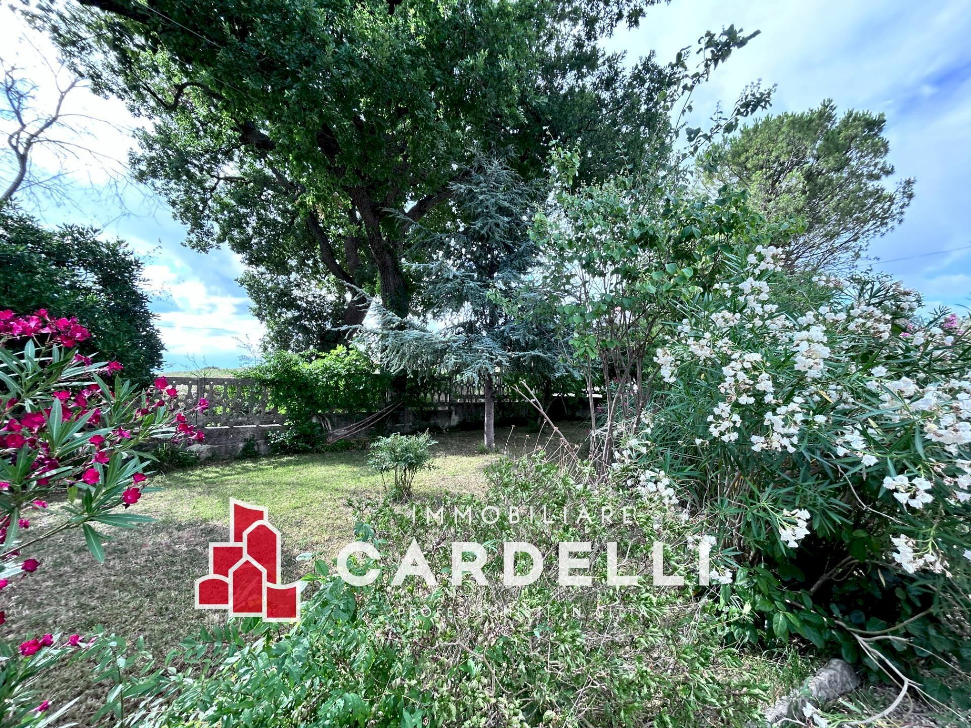 Foto 3 - Casa indipendente Località Vissani
 
15, Montecassiano - foto 3