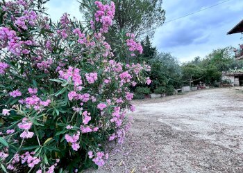 Foto 45 - Casa indipendente Località Vissani
 
15, Montecassiano - foto 45
