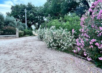 Foto 46 - Casa indipendente Località Vissani
 
15, Montecassiano - foto 46