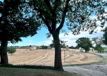 Foto 47 - Casa indipendente Località Vissani
 
15, Montecassiano - foto 47