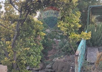 Giardino - Villa Contrada Cutuminello Poggio Diana
 
snc, Caltagirone - foto 7