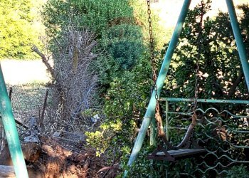 Giardino - Villa Contrada Cutuminello Poggio Diana
 
snc, Caltagirone - foto 8