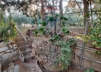 Giardino - Villa Contrada Cutuminello Poggio Diana
 
snc, Caltagirone - foto 9