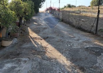 Giardino - Villa Contrada Cutuminello Poggio Diana
 
snc, Caltagirone - foto 19