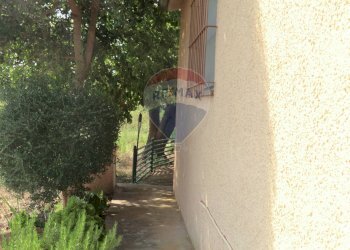 Giardino - Terreno agricolo Follonica - foto 11