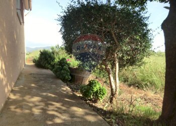 Giardino - Terreno agricolo Follonica - foto 14