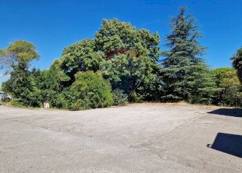 Giardino - Capannone Falconara Marittima - foto 11