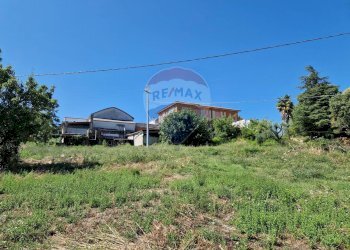 Giardino - Capannone Falconara Marittima - foto 12