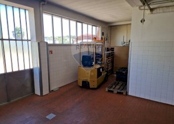 Parcheggio - Capannone Falconara Marittima - foto 15