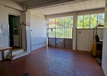 Terrazza - Capannone Falconara Marittima - foto 16