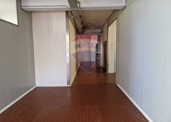 Hall / corridoio - Capannone Falconara Marittima - foto 17