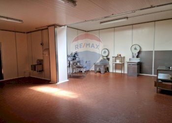 Stanza vuota - Capannone Falconara Marittima - foto 20