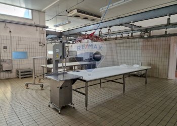 Terrazza - Capannone Falconara Marittima - foto 21