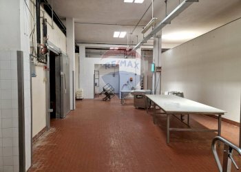 Ufficio - Capannone Falconara Marittima - foto 23